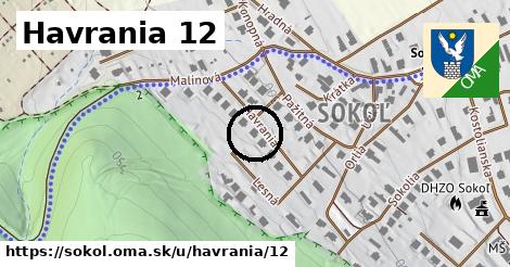 Havrania 12, Sokoľ
