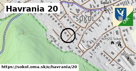 Havrania 20, Sokoľ