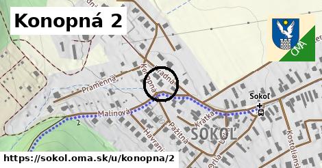 Konopná 2, Sokoľ