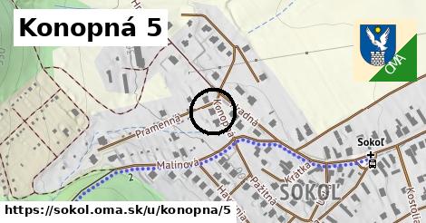 Konopná 5, Sokoľ