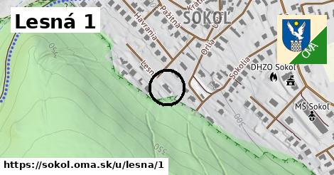 Lesná 1, Sokoľ