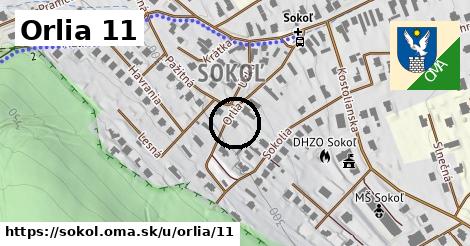 Orlia 11, Sokoľ