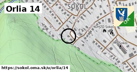 Orlia 14, Sokoľ