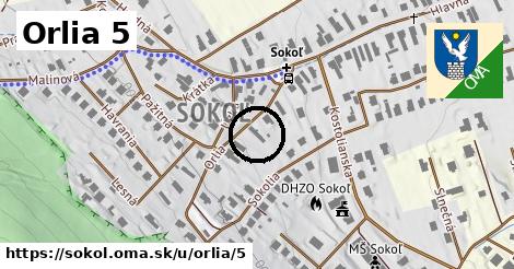 Orlia 5, Sokoľ