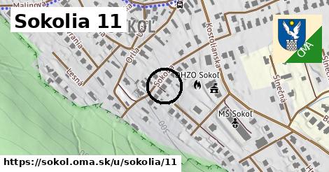 Sokolia 11, Sokoľ