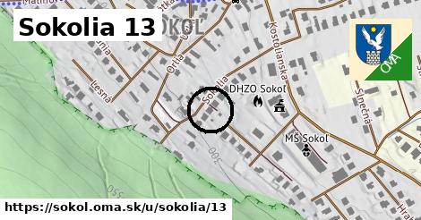 Sokolia 13, Sokoľ