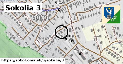 Sokolia 3, Sokoľ