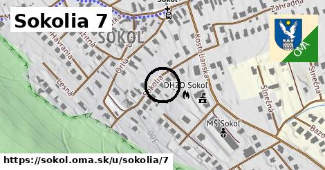 Sokolia 7, Sokoľ