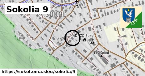 Sokolia 9, Sokoľ