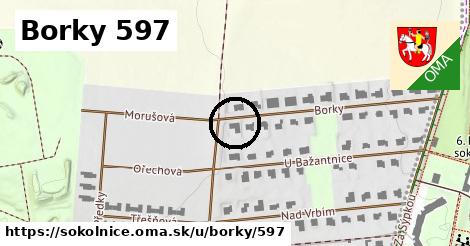 Borky 597, Sokolnice