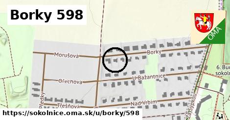 Borky 598, Sokolnice