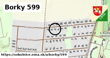 Borky 599, Sokolnice