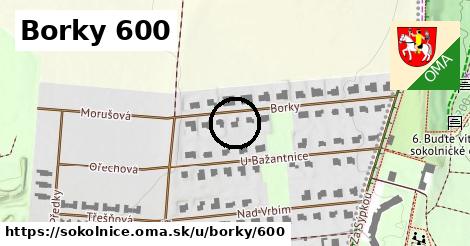 Borky 600, Sokolnice