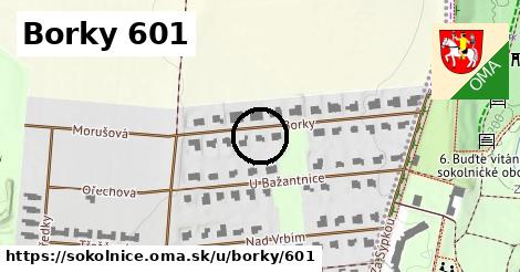 Borky 601, Sokolnice