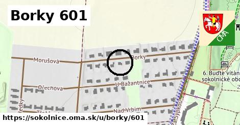 Borky 601, Sokolnice