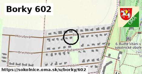 Borky 602, Sokolnice