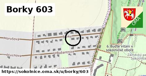 Borky 603, Sokolnice