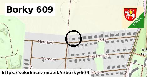 Borky 609, Sokolnice