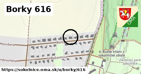 Borky 616, Sokolnice