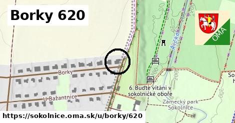 Borky 620, Sokolnice