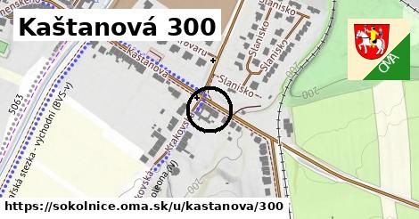 Kaštanová 300, Sokolnice