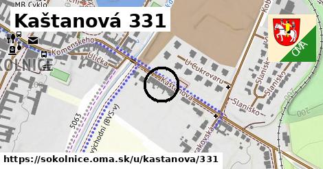 Kaštanová 331, Sokolnice