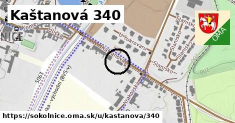 Kaštanová 340, Sokolnice