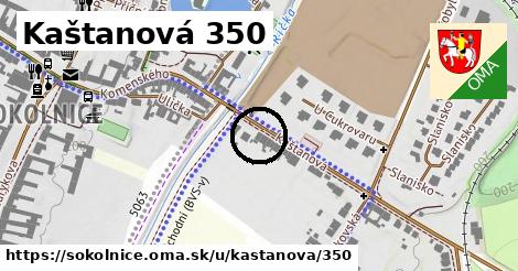Kaštanová 350, Sokolnice