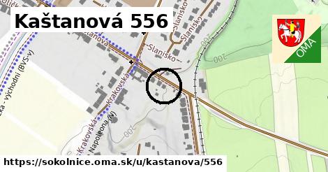 Kaštanová 556, Sokolnice