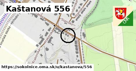 Kaštanová 556, Sokolnice