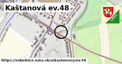 Kaštanová ev.48, Sokolnice