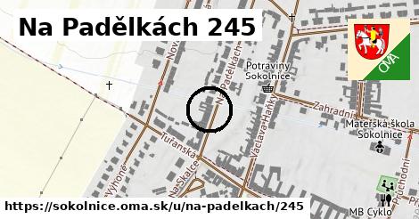 Na Padělkách 245, Sokolnice
