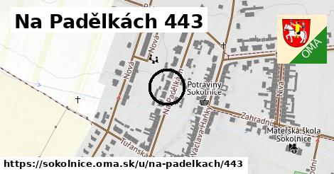 Na Padělkách 443, Sokolnice