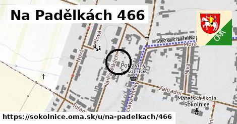 Na Padělkách 466, Sokolnice