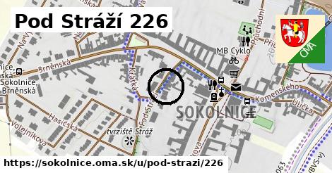 Pod Stráží 226, Sokolnice