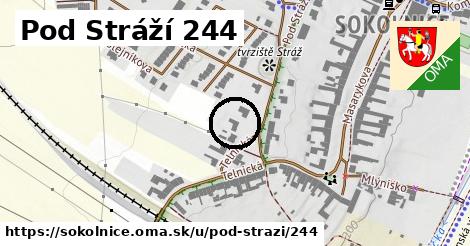 Pod Stráží 244, Sokolnice