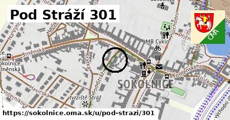 Pod Stráží 301, Sokolnice