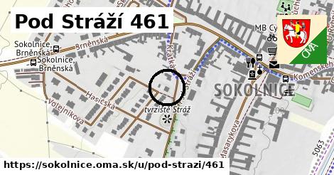 Pod Stráží 461, Sokolnice