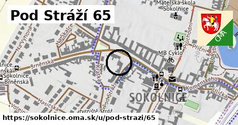 Pod Stráží 65, Sokolnice