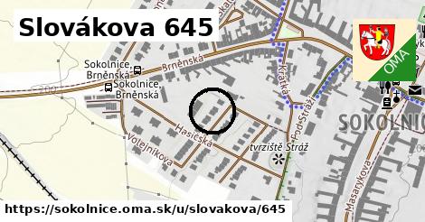 Slovákova 645, Sokolnice