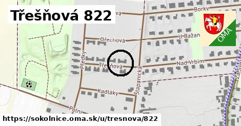 Třešňová 822, Sokolnice