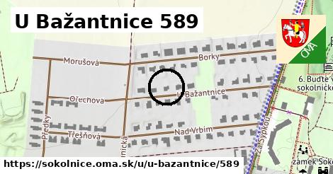 U Bažantnice 589, Sokolnice