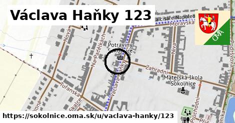 Václava Haňky 123, Sokolnice