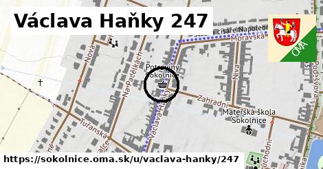 Václava Haňky 247, Sokolnice