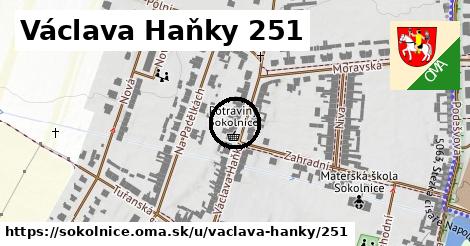 Václava Haňky 251, Sokolnice