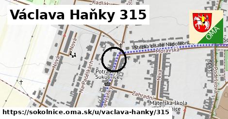 Václava Haňky 315, Sokolnice