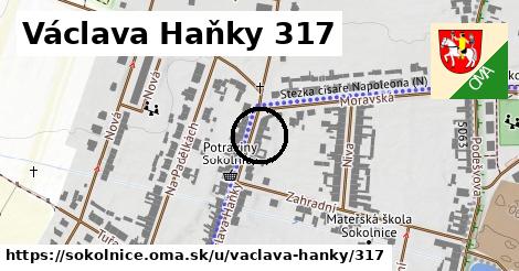 Václava Haňky 317, Sokolnice