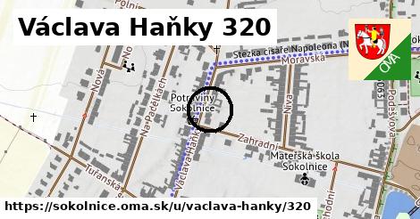 Václava Haňky 320, Sokolnice