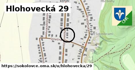 Hlohovecká 29, Sokolovce