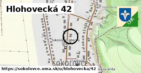 Hlohovecká 42, Sokolovce